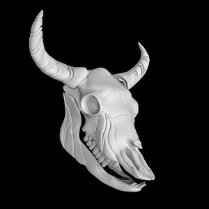 Bison skull 3D