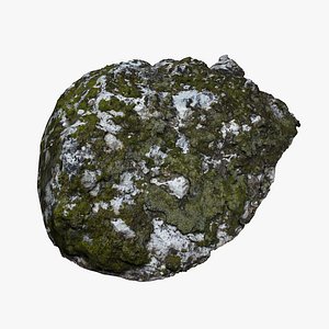 mossy rock 3D
