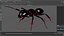 Black Ant Rigged for Maya