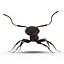 Black Ant Rigged for Maya