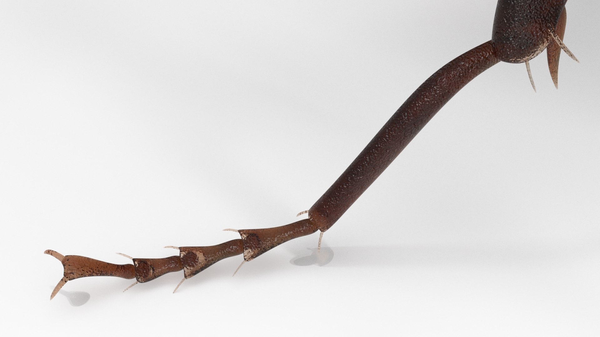 3D model Black Ant Rigged for Maya https://p.turbosquid.com/ts-thumb/Ia/ftPqZd/H5/additional__black_ant_rigged_003/jpg/1710145072/1920x1080/fit_q87/365a0ff6569800245d6f6a28b6c6738b00ee9368/additional__black_ant_rigged_003.jpg