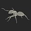 Black Ant Rigged for Maya