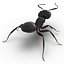 Black Ant Rigged for Maya