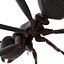 Black Ant Rigged for Maya