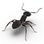 Black Ant Rigged for Maya