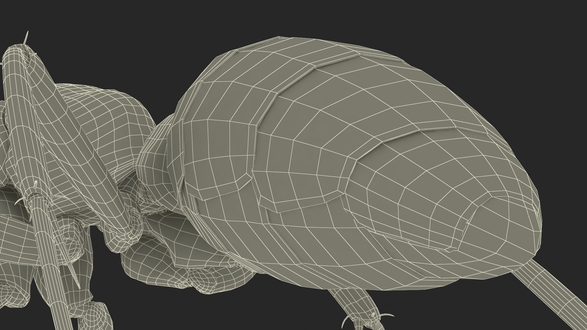 3D model Black Ant Rigged for Maya https://p.turbosquid.com/ts-thumb/Ia/ftPqZd/lX/additional__black_ant_rigged_006/jpg/1710145073/1920x1080/fit_q87/661c82e678db0fd2de18f741debefea01b7c96ce/additional__black_ant_rigged_006.jpg