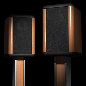 Two Way Speaker System