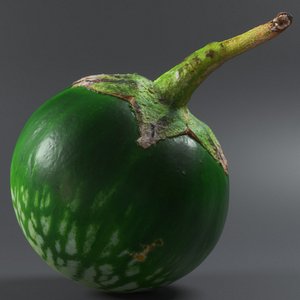 thai eggplant 3D model