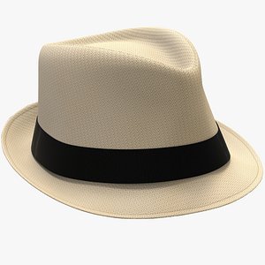 3D model Straw Hat