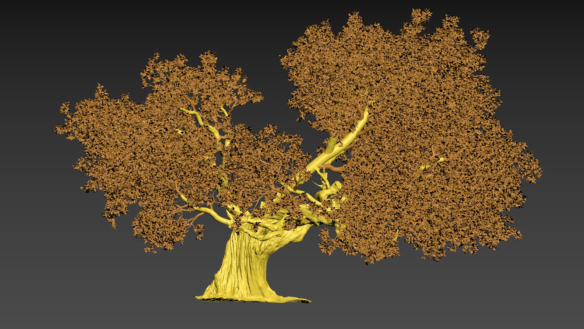 Free Model 3d OakTree By NhanLe 3D Model - TurboSquid 2383046