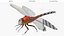 Red Dragonfly Fur 3D model