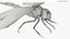 Red Dragonfly Fur 3D model