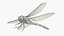 Red Dragonfly Fur 3D model