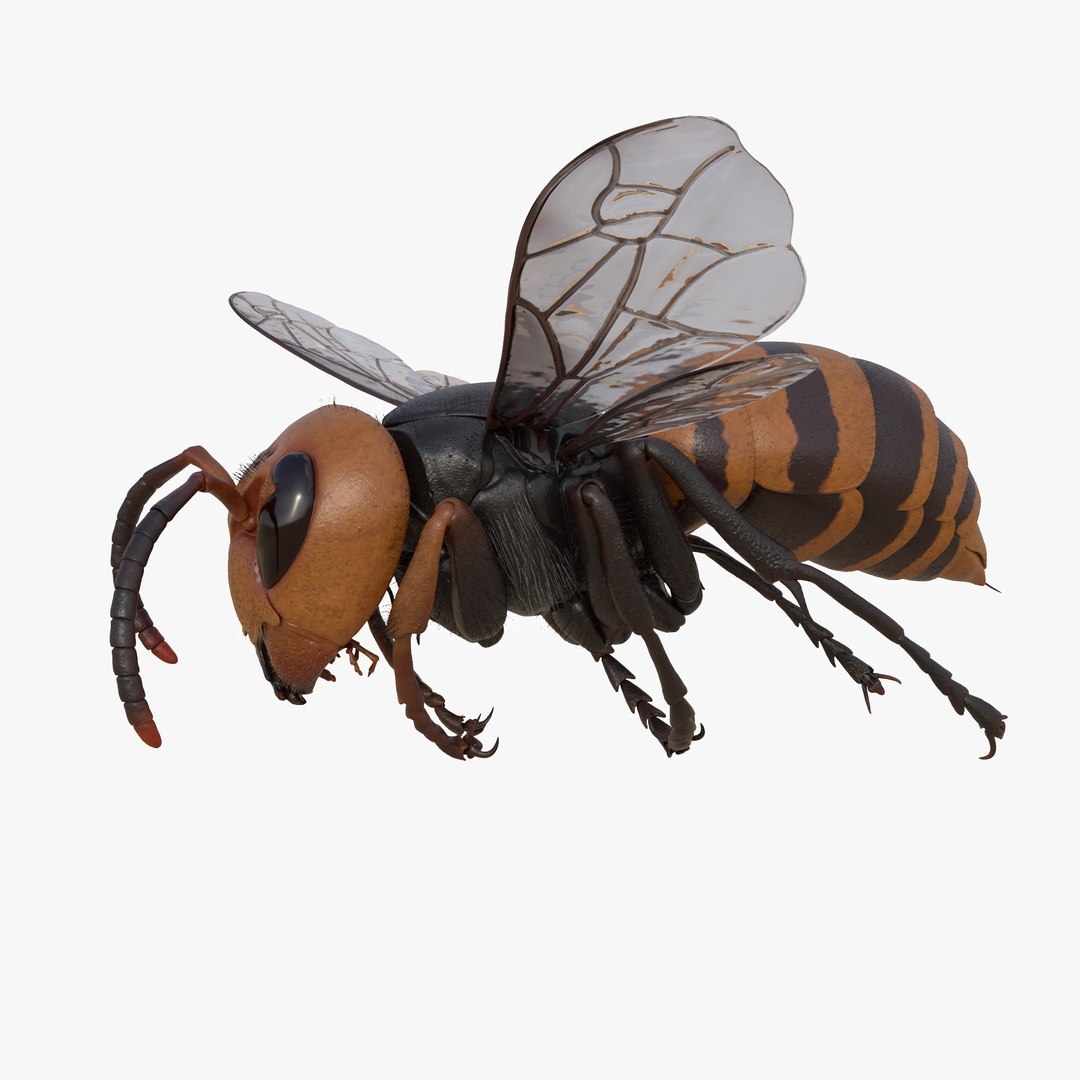 Vespa Mandarinia RIGGED 3D Model - TurboSquid 2180333