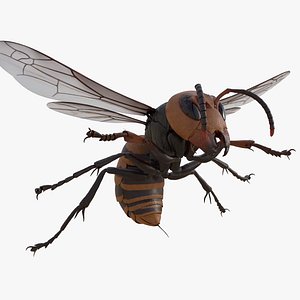 Vespa Mandarinia RIGGED 3D model