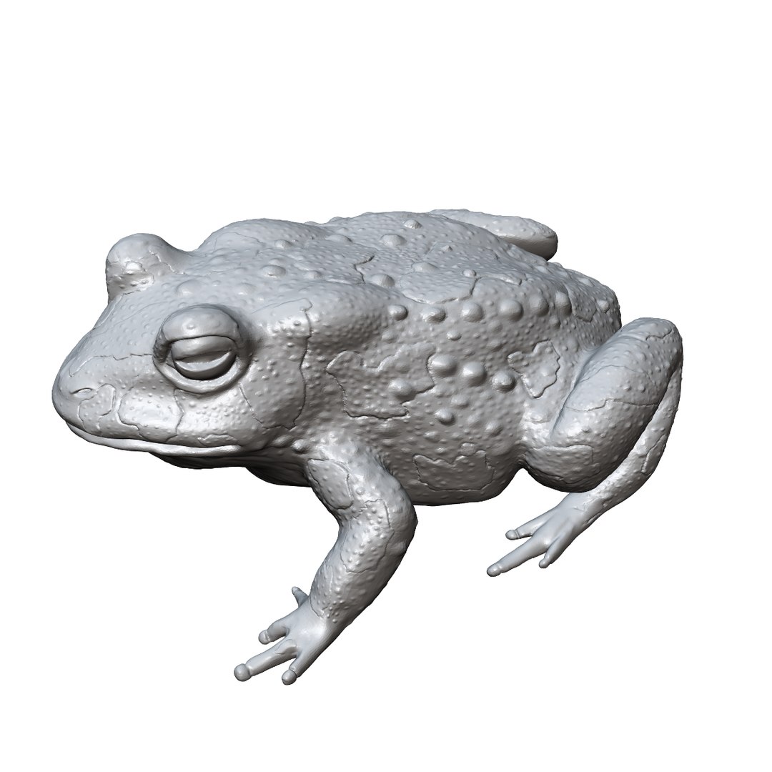 toad sculpture 3d model