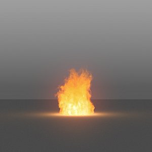 burning flames 01 vdb 3D