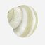 Coquille d'escargot