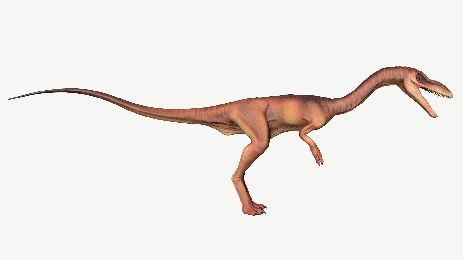 coelophysis 3D https://p.turbosquid.com/ts-thumb/Ic/GVFg3u/5e/2/png/1728677144/1920x1080/fit_q87/91635f4e485c2beb8ee371ed55daff0a1f542a21/2.jpg