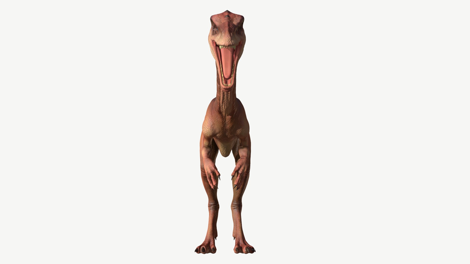 coelophysis 3D https://p.turbosquid.com/ts-thumb/Ic/GVFg3u/6P/5/png/1728677147/1920x1080/fit_q87/a8c0639761a14e5fd1179800f1baf7519184c4f8/5.jpg