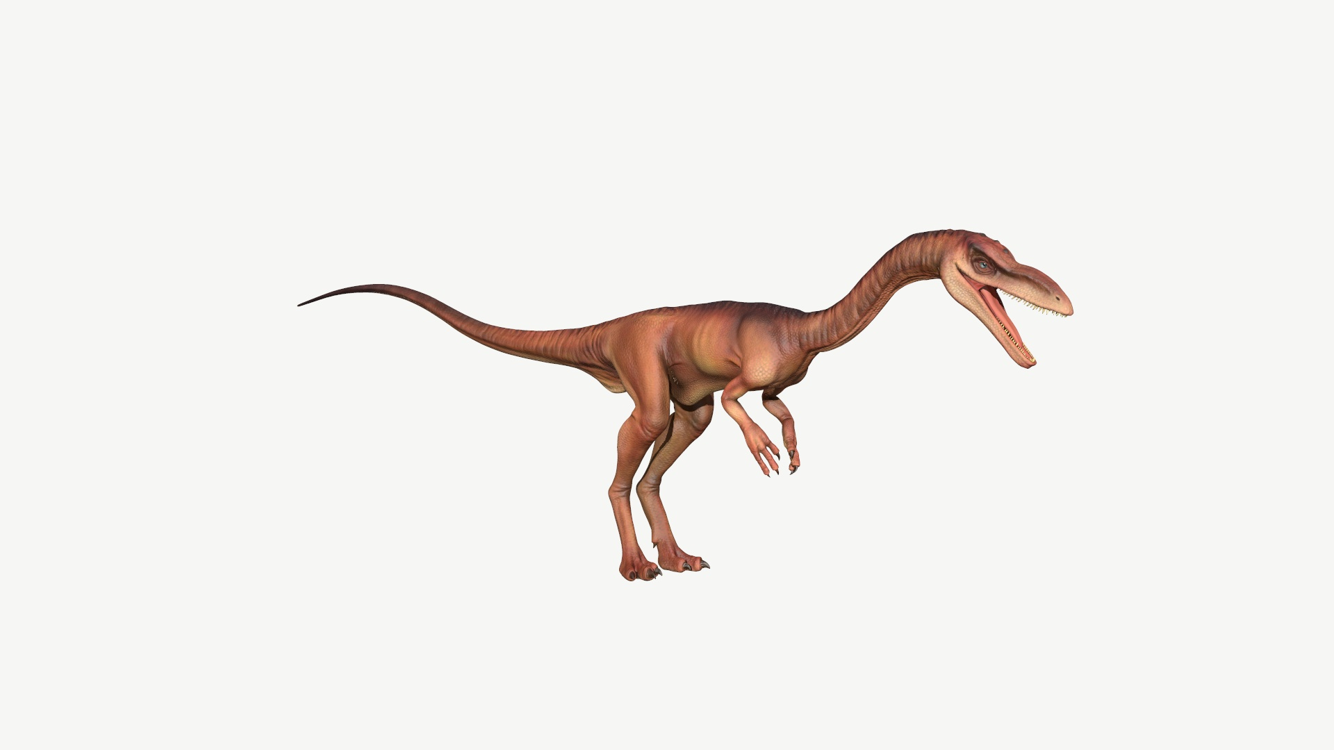 coelophysis 3D https://p.turbosquid.com/ts-thumb/Ic/GVFg3u/Ga/coelophysis/jpg/1728677187/1920x1080/turn_fit_q99/eb626a8e5b29a9c040def9b724c72667f641e9ff/coelophysis-1.jpg