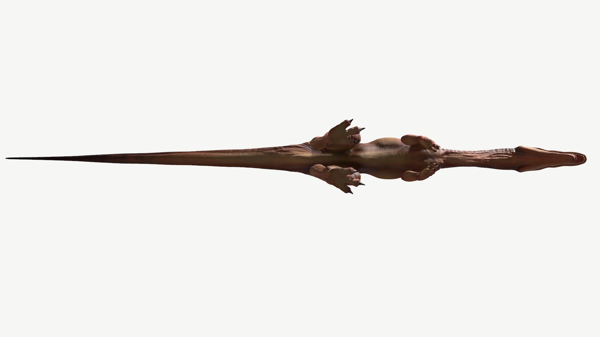 coelophysis 3D https://p.turbosquid.com/ts-thumb/Ic/GVFg3u/Hl/6/png/1728677148/1920x1080/fit_q87/8db00eddb56d41926338e540b4034d2483ea32da/6.jpg