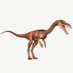 Coelophysis