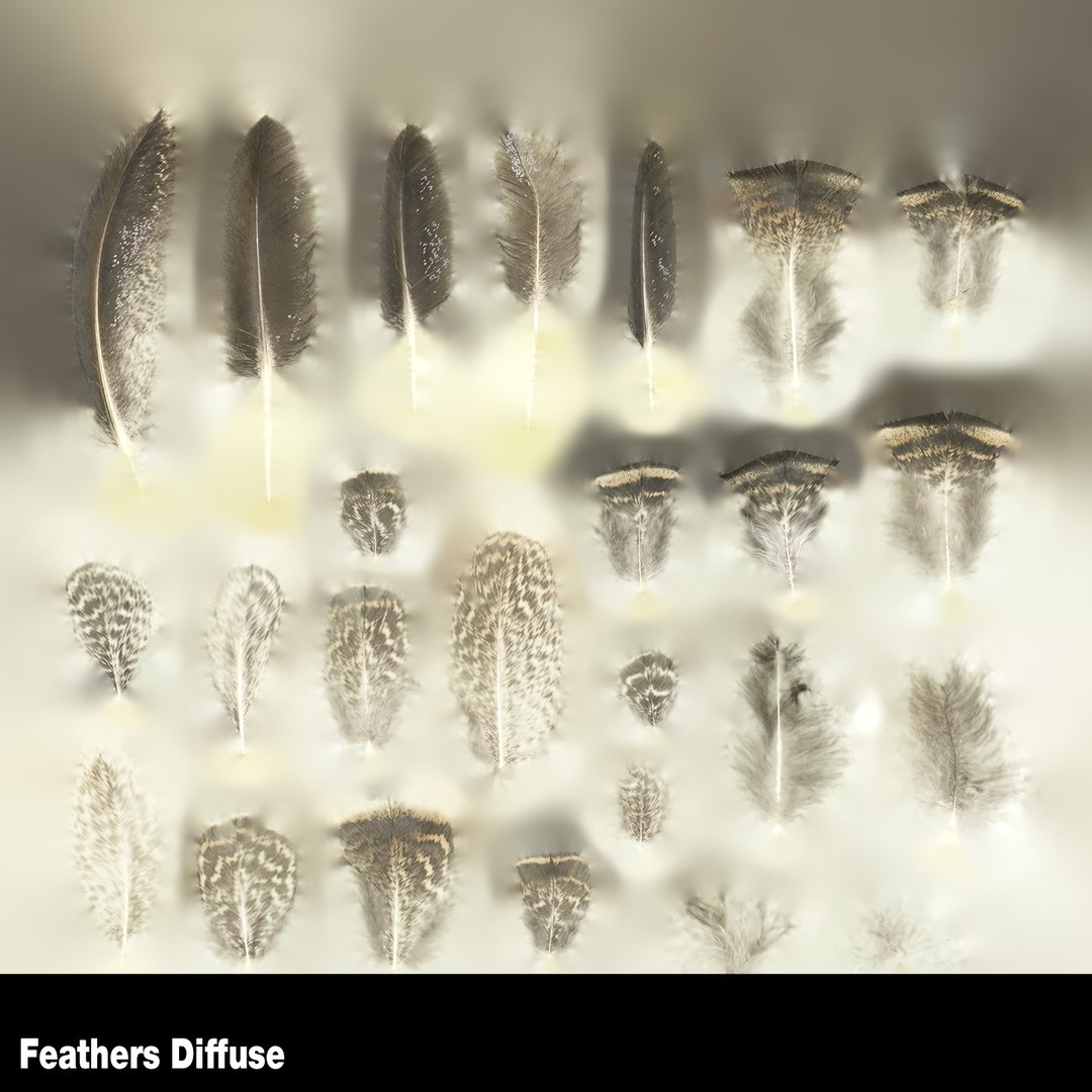 tribal arrow 3D https://p.turbosquid.com/ts-thumb/Ic/MQrnJs/9HysoFWV/feathers_diffuse/jpg/1524663112/1920x1080/fit_q87/3d34558c1e2fcdfacd0a59774f6d704529b4cd70/feathers_diffuse.jpg