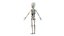 3D model kid boy anatomy