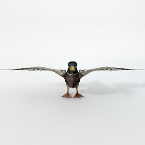 black duck 3D