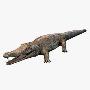 Low-Poly Alligator