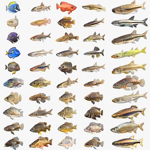 50 Fish Sea Creatures Collection v9