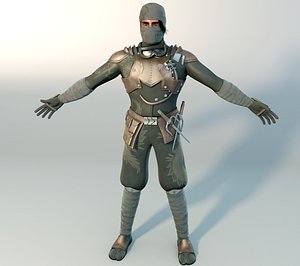 Assassin Guy rigged