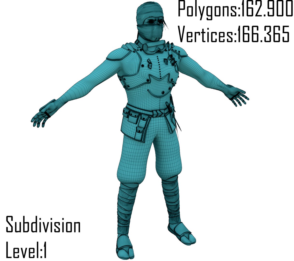 Assassin Guy Rigged Model - TurboSquid 1161841