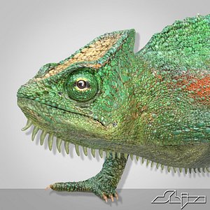 Lizard 4 Chameleon