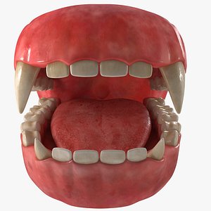 creature jaw dentition 3D model