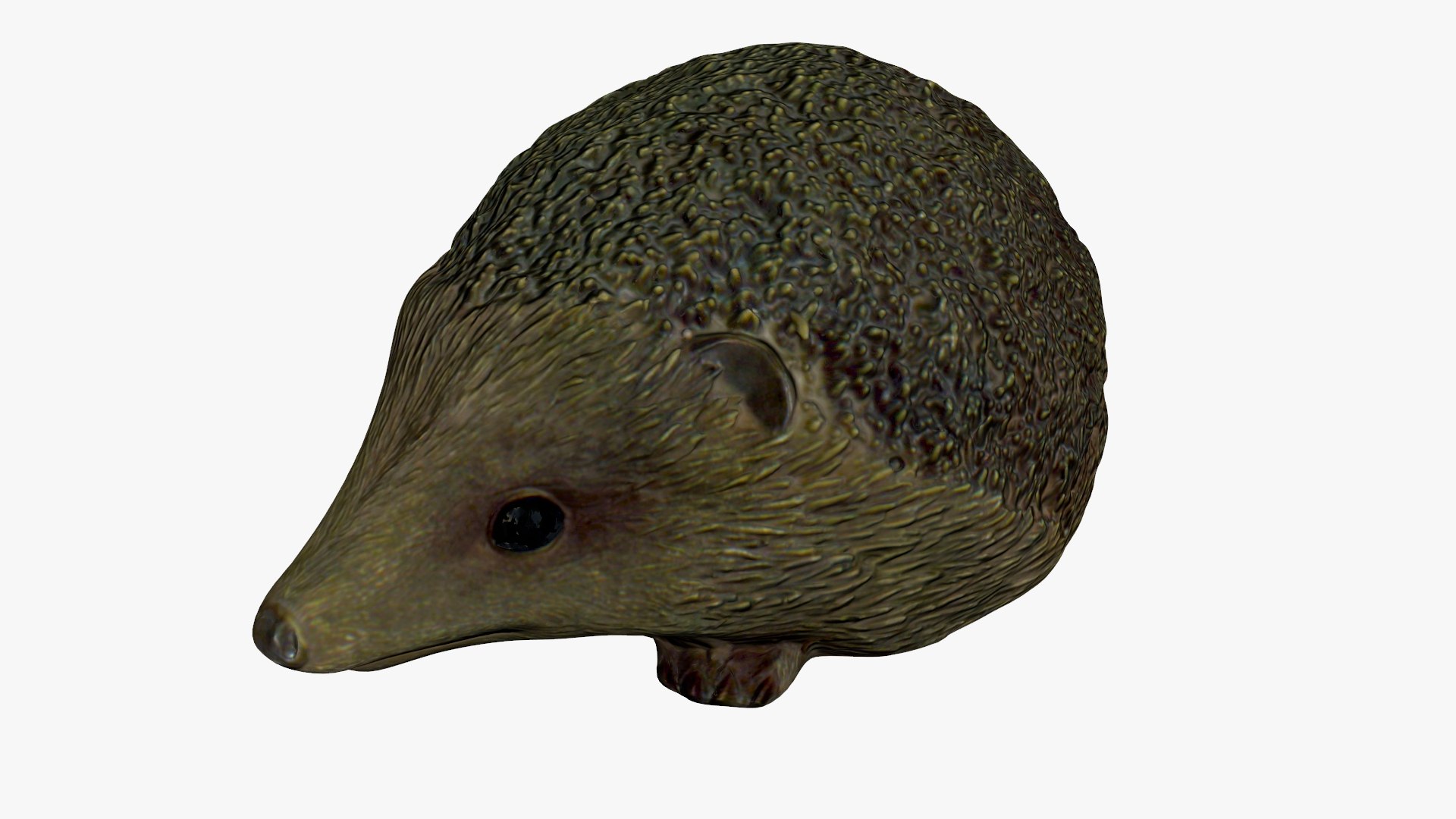 Hedgehog Scanned 3D Model - TurboSquid 1535491