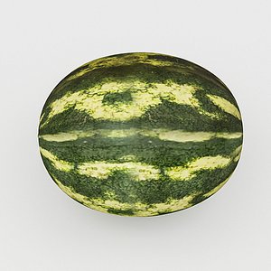 watermelon realistic 3D model