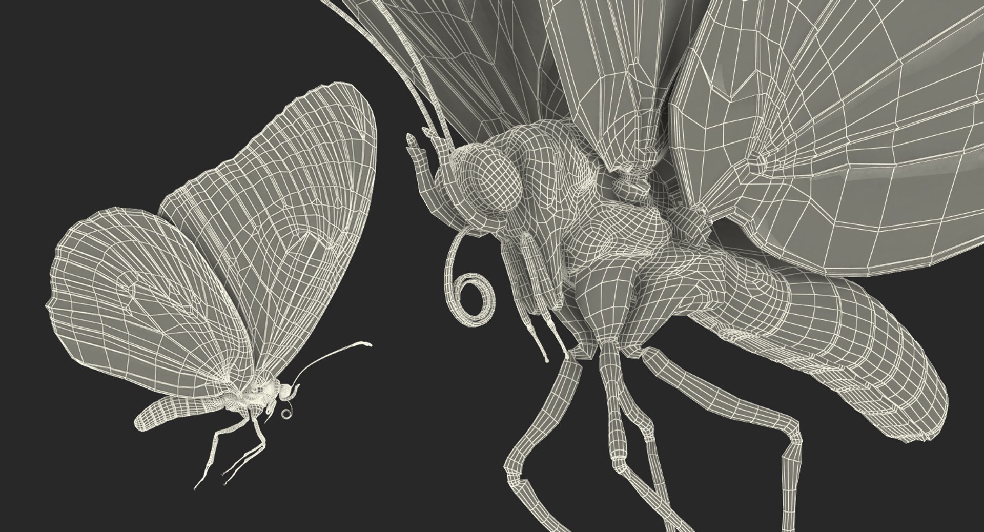 3D Flying Insects Collection 6 https://p.turbosquid.com/ts-thumb/Id/bH3D24/5R/flyinginsectscollection63dsmodel100/jpg/1682488422/1920x1080/fit_q87/83aa802c123373df80e828eb052b8f7bc897c566/flyinginsectscollection63dsmodel100.jpg