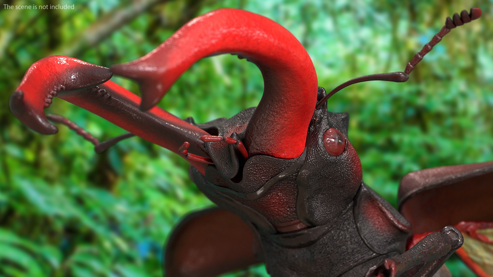 3D Flying Insects Collection 6 https://p.turbosquid.com/ts-thumb/Id/bH3D24/Bb/flyinginsectscollection63dsmodel055/jpg/1682488276/1920x1080/fit_q87/d55f9e6feb971508ae46d54e3e747806d6b4074b/flyinginsectscollection63dsmodel055.jpg