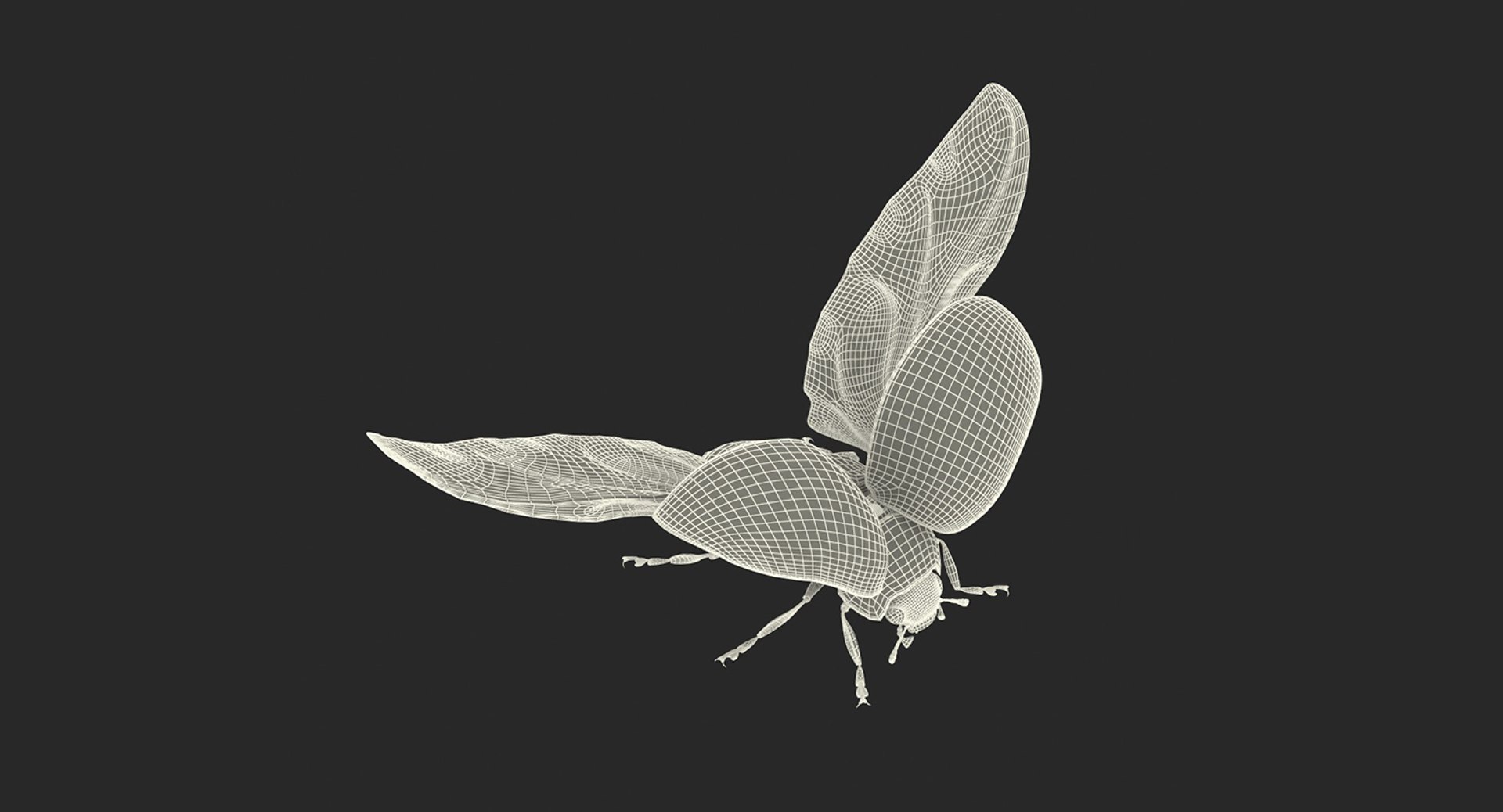 3D Flying Insects Collection 6 https://p.turbosquid.com/ts-thumb/Id/bH3D24/E0/flyinginsectscollection63dsmodel097/jpg/1682488413/1920x1080/fit_q87/8a72321a8bf44ab1840f0e37487a91b22a1ef844/flyinginsectscollection63dsmodel097.jpg