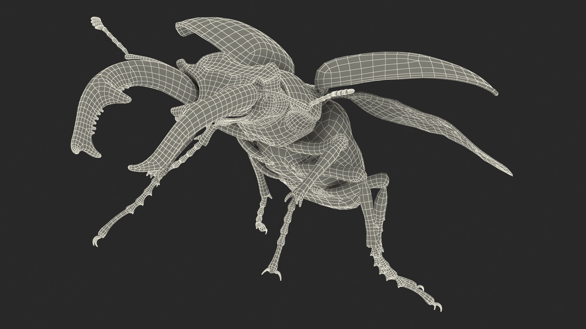 3D Flying Insects Collection 6 https://p.turbosquid.com/ts-thumb/Id/bH3D24/LD/flyinginsectscollection63dsmodel099/jpg/1682488419/1920x1080/fit_q87/05656d41628dd2430b59f201eaad9b784043b146/flyinginsectscollection63dsmodel099.jpg