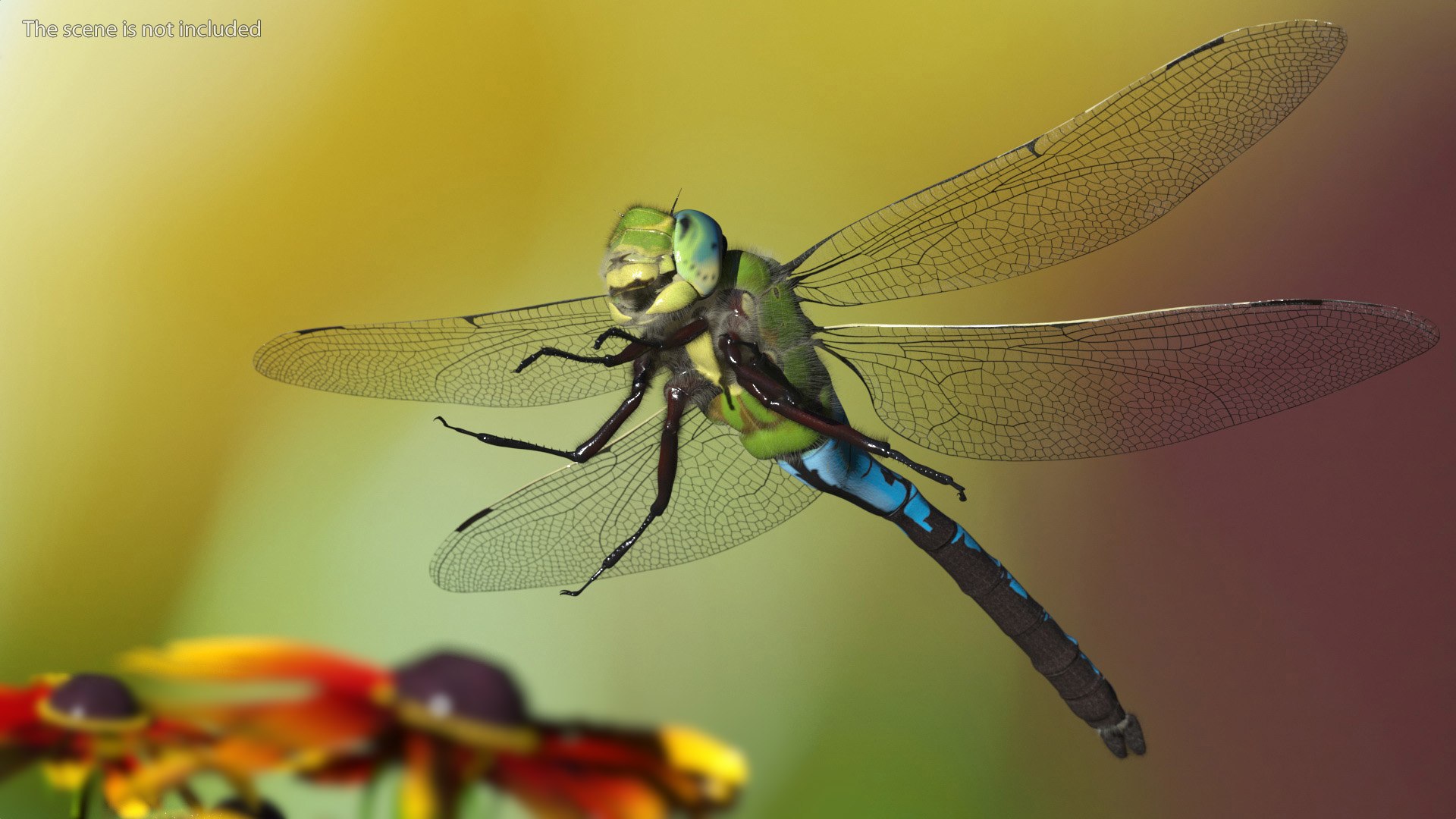 3D Flying Insects Collection 6 https://p.turbosquid.com/ts-thumb/Id/bH3D24/Y5/flyinginsectscollection63dsmodel019/jpg/1682488162/1920x1080/fit_q87/2ce1f80b9a6782e75aa1faf3355d8fd7b3e11f0f/flyinginsectscollection63dsmodel019.jpg