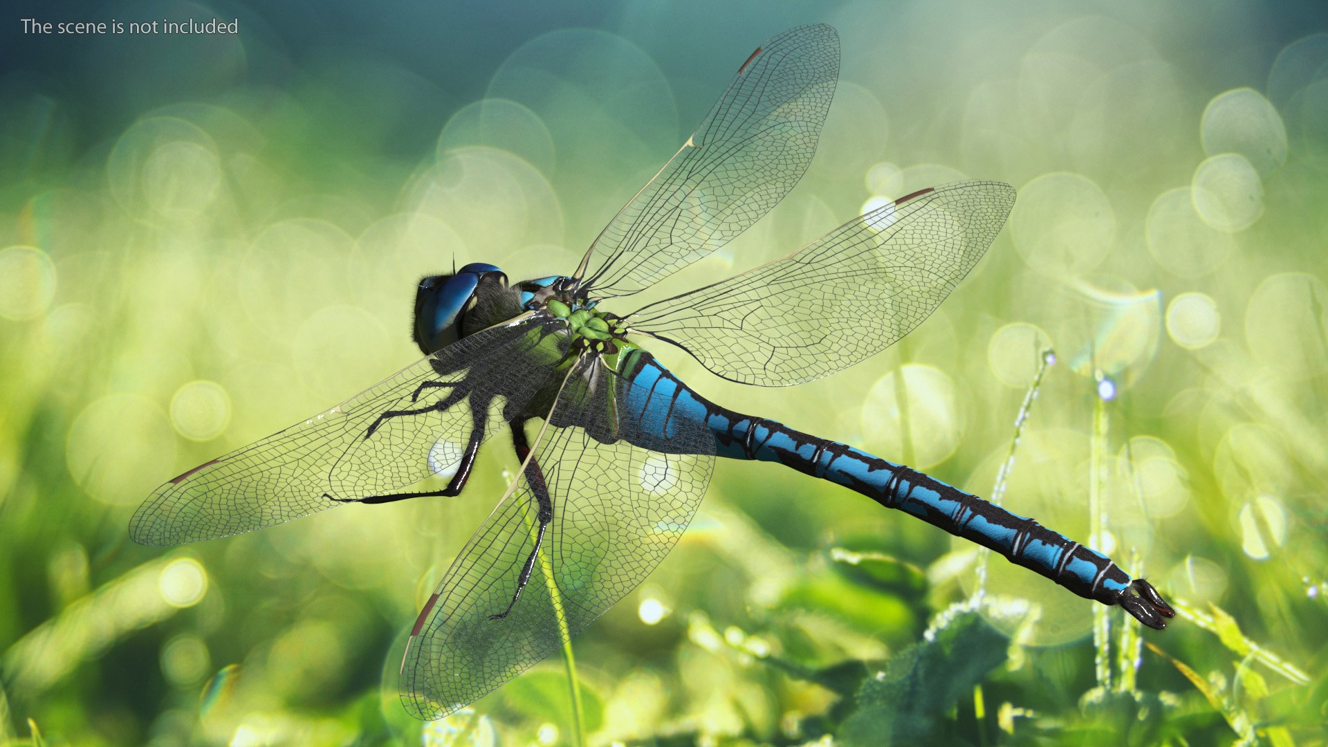 3D Flying Insects Collection 6 https://p.turbosquid.com/ts-thumb/Id/bH3D24/Zh/flyinginsectscollection63dsmodel018/jpg/1682488159/1920x1080/fit_q87/d3785ac5865ffc276aa47fe31159d02f275b1358/flyinginsectscollection63dsmodel018.jpg