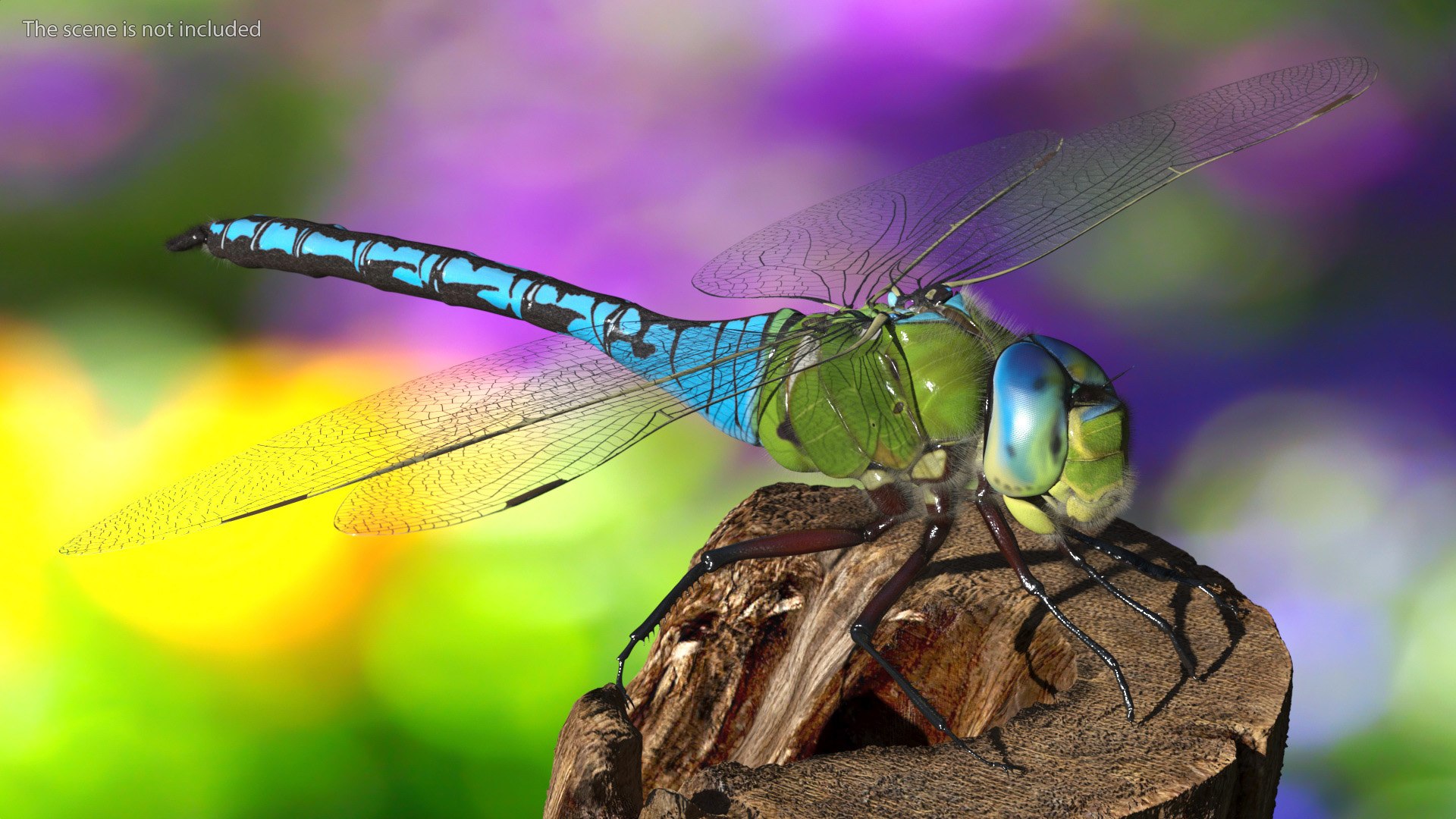 3D Flying Insects Collection 6 https://p.turbosquid.com/ts-thumb/Id/bH3D24/gv/flyinginsectscollection63dsmodel017/jpg/1682488156/1920x1080/fit_q87/76ee826d81c800aa7b43c9f3ba5e0a66d5fefb24/flyinginsectscollection63dsmodel017.jpg