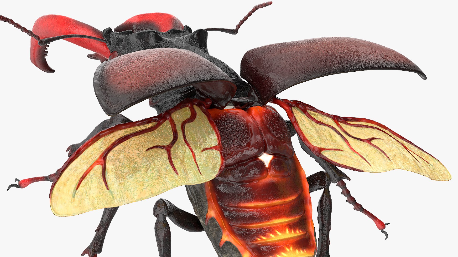 3D Flying Insects Collection 6 https://p.turbosquid.com/ts-thumb/Id/bH3D24/jw/flyinginsectscollection63dsmodel059/jpg/1682488293/1920x1080/fit_q87/1b9fe4b7aef1a173bf5d353741ae9b5b9f039fee/flyinginsectscollection63dsmodel059.jpg