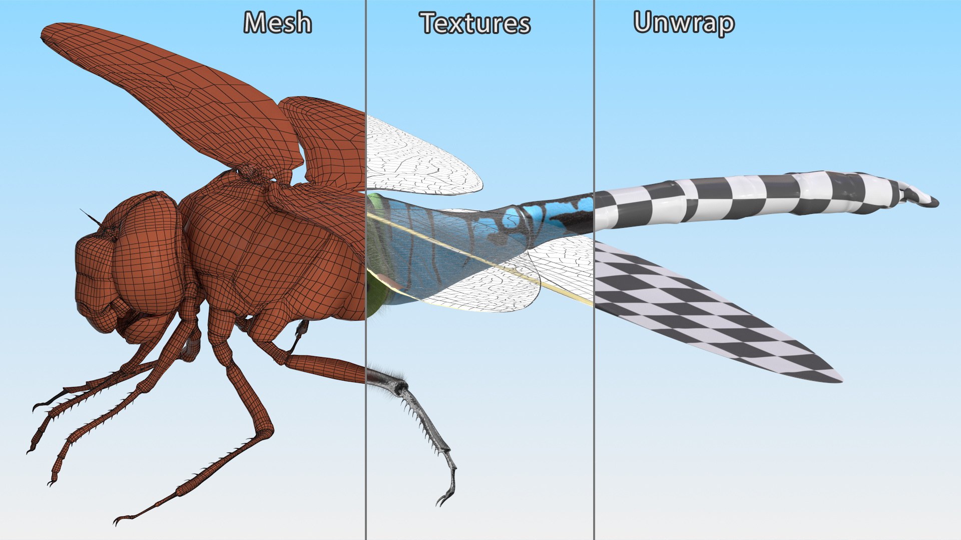 3D Flying Insects Collection 6 https://p.turbosquid.com/ts-thumb/Id/bH3D24/kR/flyinginsectscollection63dsmodel024/jpg/1682488178/1920x1080/fit_q87/08f434f285725e985720dffaefa1d987c89c6424/flyinginsectscollection63dsmodel024.jpg