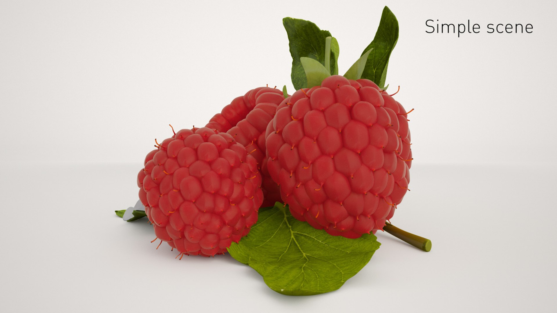 raspberry raspbery 3d model