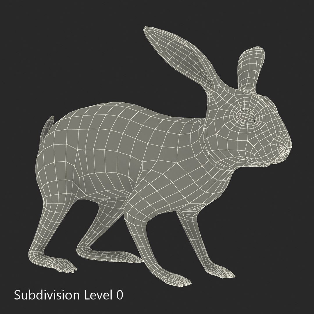 3d black rabbit rigged model