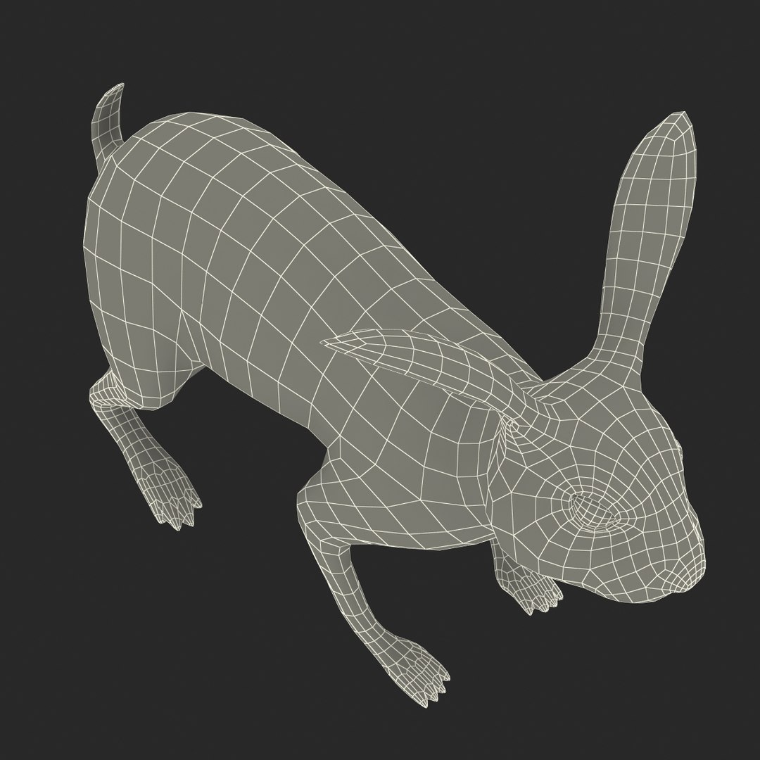 3d black rabbit rigged model